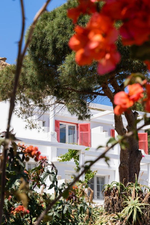 Rhenia Otel 4*